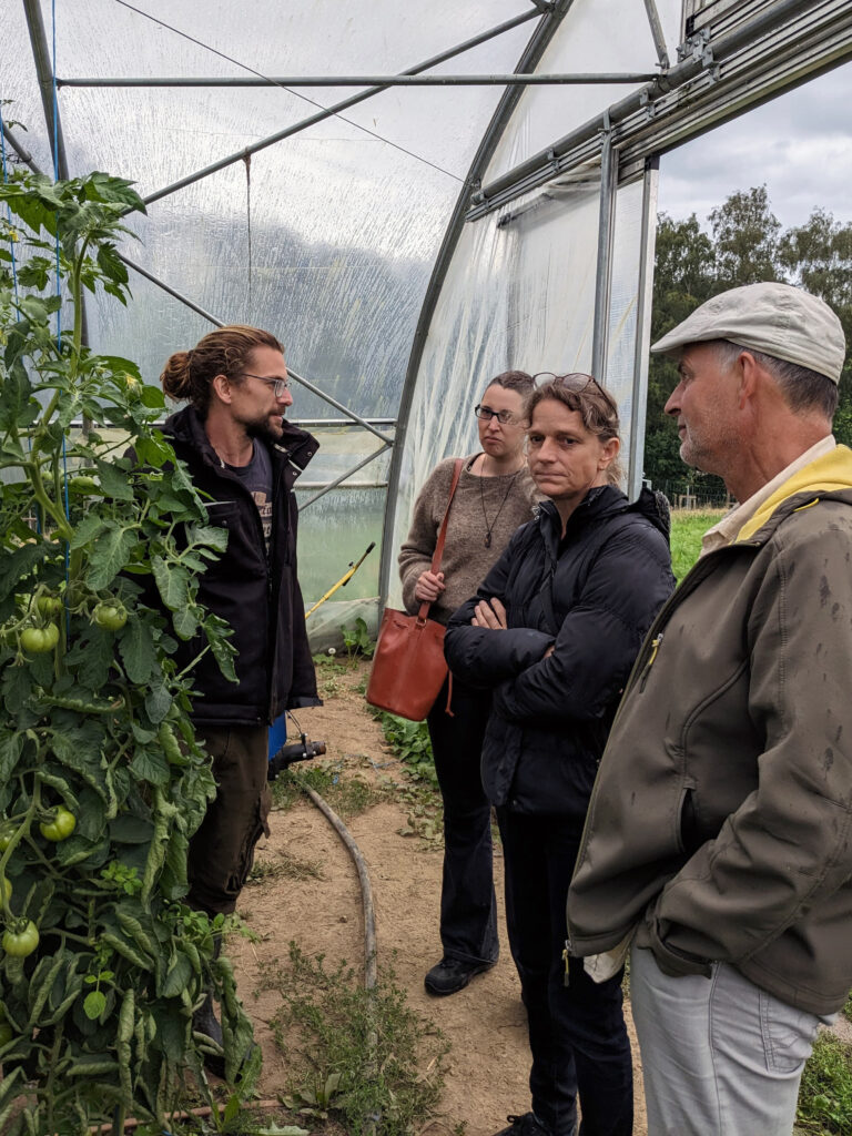 Die Besucher lassen sich im Gewächshaus vom Gemüsegärtner Patrick den Anbau von Tomaten erklären.