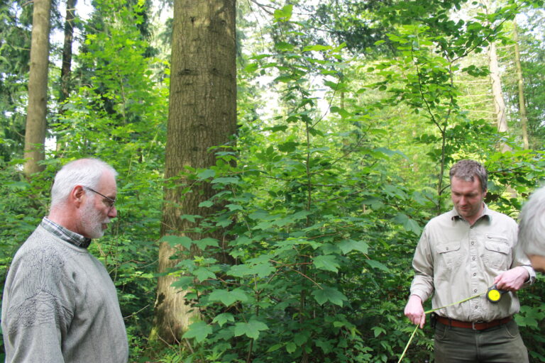 Seit drei Generationen wird hier an einem klimastabilen Wald der Zukunft gearbeitet